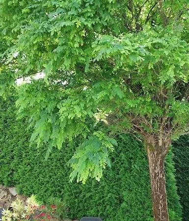 Appartement Talblick