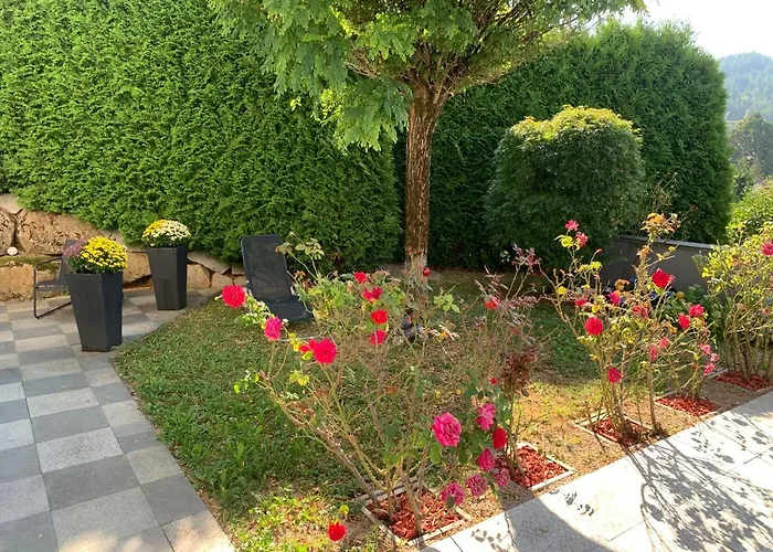 Talblick Apartment *